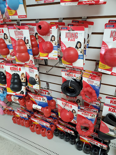 Pet Trainer «Healthy Pet Center», reviews and photos, 154 Delaware Ave, Delmar, NY 12054, USA