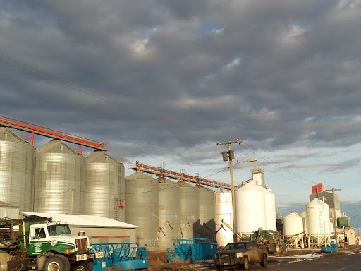 Quality Feeds & Supply