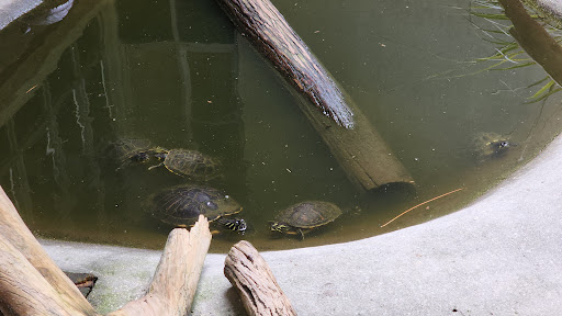 Nature Preserve «Calusa Nature Center & Planetarium», reviews and photos, 3450 Ortiz Ave, Fort Myers, FL 33905, USA