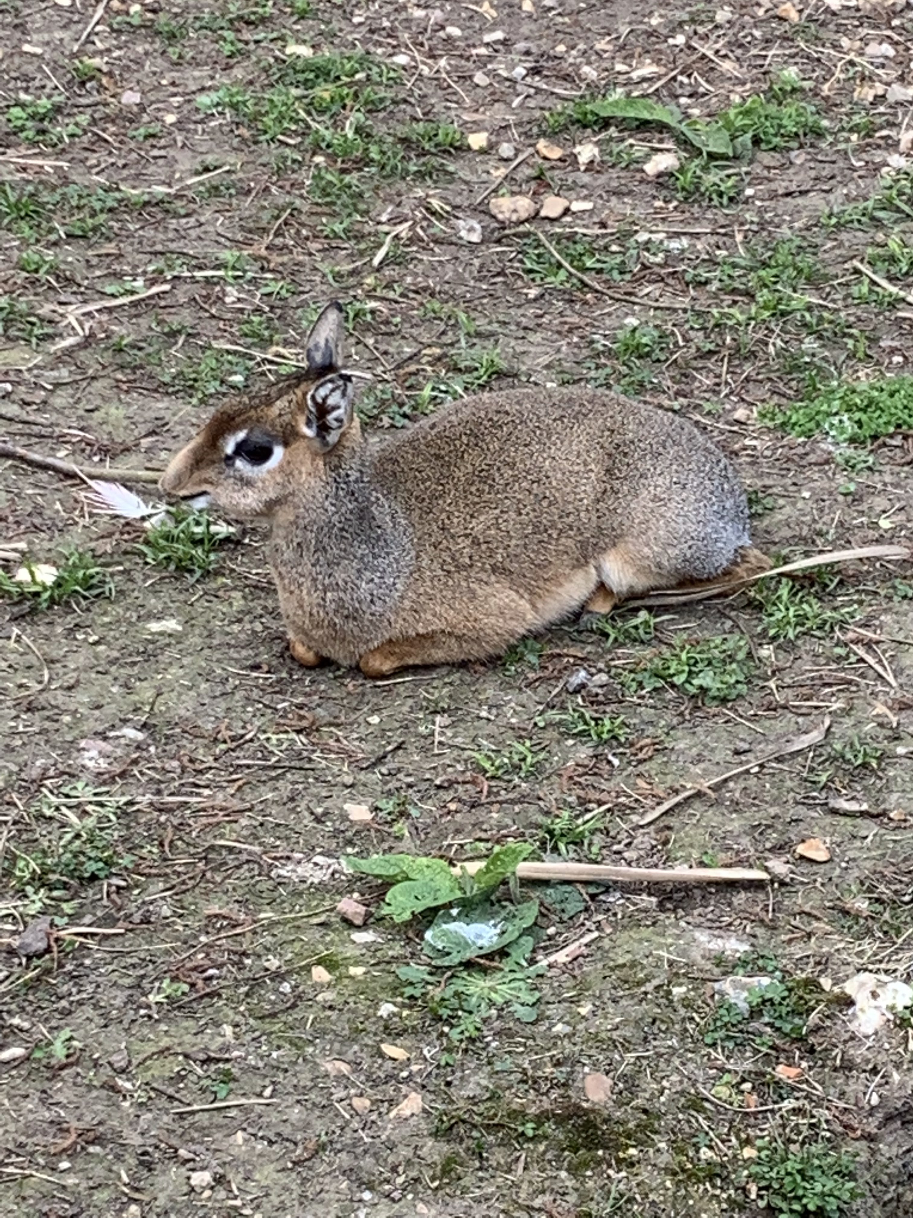 Photo n° 5 de l'avis de Angie. fait le 15/05/2019 à 11:27