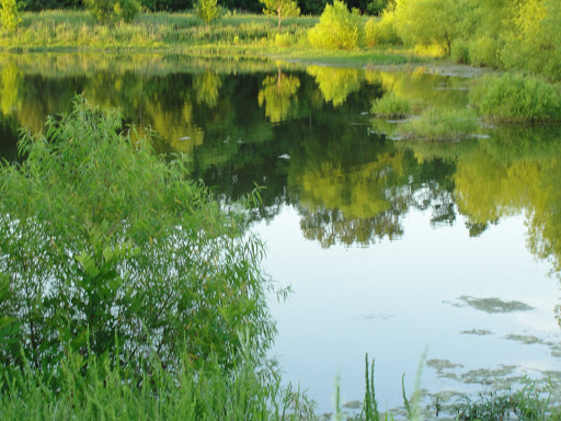 Golf Course «Harpeth Valley Golf Center», reviews and photos, 7629 Old Harding Pike, Nashville, TN 37221, USA