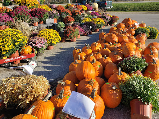 Thrift Store «Village General Store», reviews and photos