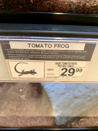 Pet Supply Store «Petco Animal Supplies», reviews and photos, 436 E Rollins Rd, Round Lake Beach, IL 60073, USA