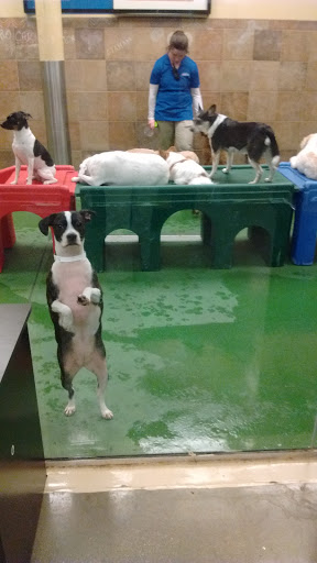 Pet Supply Store «PetSmart», reviews and photos, 9041 Snowden Square Dr, Columbia, MD 21045, USA