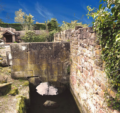 DOMAINE DES NAÏADES à Ottrott