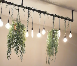 Sushingone Cumbres photo