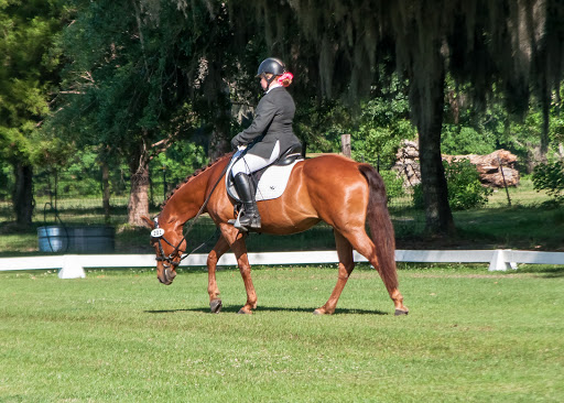 Horse breeder Savannah