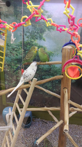 Pet Supply Store «Petco Animal Supplies», reviews and photos, 3591 Washington Blvd, Halethorpe, MD 21227, USA