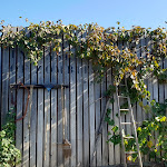 Photo n°2 de l'avis de Thomas.. fait le 15/10/2021 à 15:25 sur le  Bolgheri Green à Castagneto Carducci