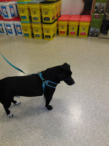 Pet Supply Store «PetSmart», reviews and photos, 3995 Welsh Rd, Willow Grove, PA 19090, USA