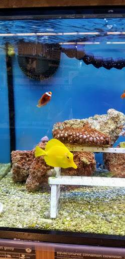 Pet Supply Store «Petco Animal Supplies», reviews and photos, 4665 Garth Rd #400, Baytown, TX 77521, USA