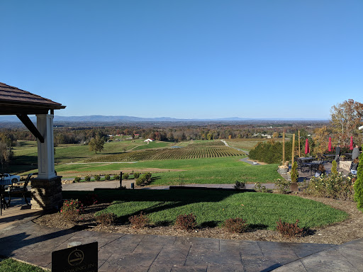 Piccione Vineyards