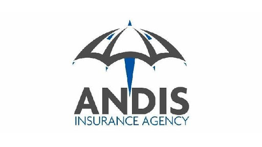 Auto Insurance Agency «Andis Insurance Agency», reviews and photos