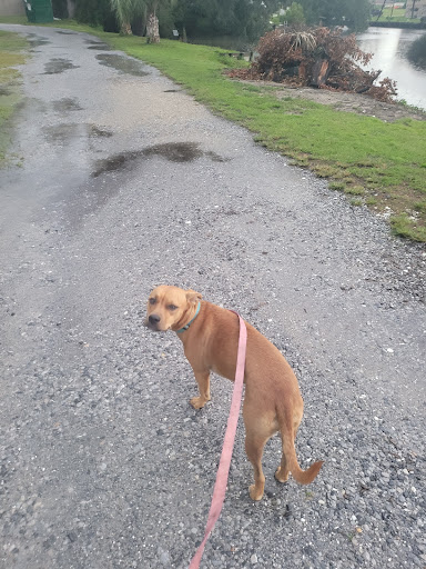 Park «Deerhaven Park», reviews and photos, 2812 Co Rd 2321, Panama City, FL 32409, USA