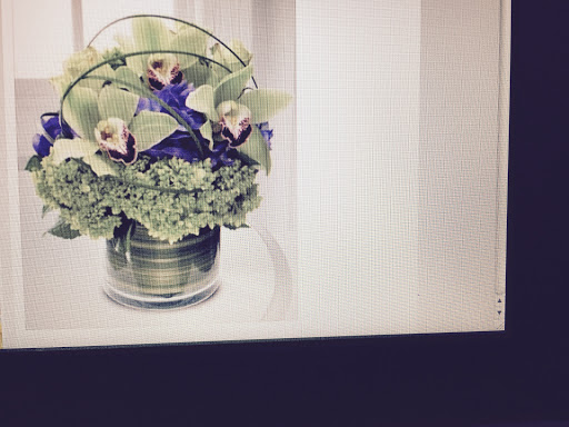 Florist «Gallery of Flowers Ny Corporation», reviews and photos, 1151 Brighton Beach Ave, Brooklyn, NY 11235, USA