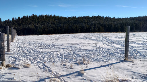 National Forest «Bighorn National Forest», reviews and photos