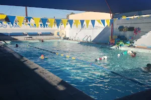 Lucky Duck Swim School image