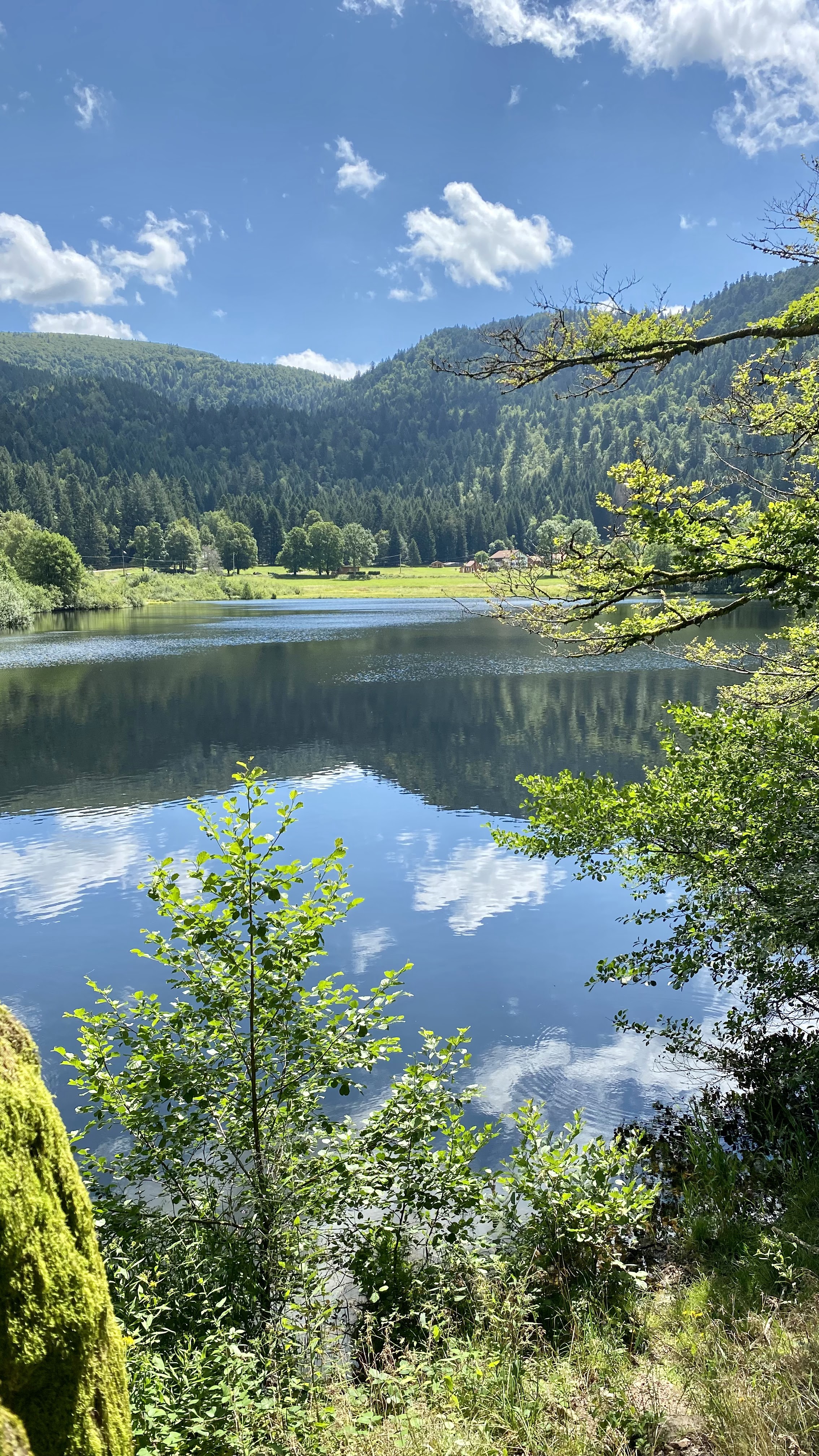 Photo n° 2 de l'avis de Laurence.g fait le 10/08/2021 à 11:16