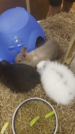 Pet Supply Store «Pet Supermarket», reviews and photos, 835 Blanding Blvd, Orange Park, FL 32065, USA