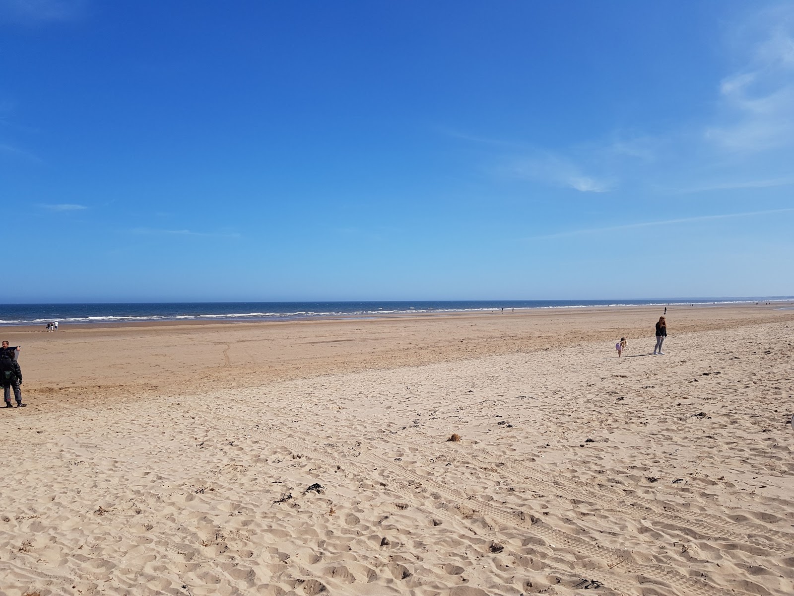 Are Dogs Allowed On Bridlington South Beach