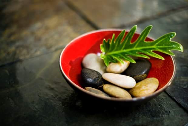 Mountain Wellness Massage 59937