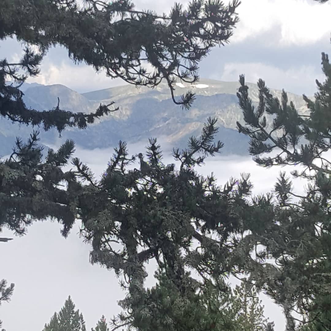 Photo n° 1 de l'avis de Lucille.O fait le 10/08/2018 à 08:20