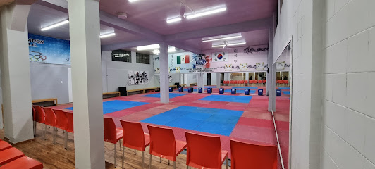 UTA Taekwondo Puebla Sur