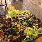 Photo n°3 de l'avis de Eleonora. fait le 25/09/2017 à 10:26 sur le  Arte e Vino à Castel Gandolfo