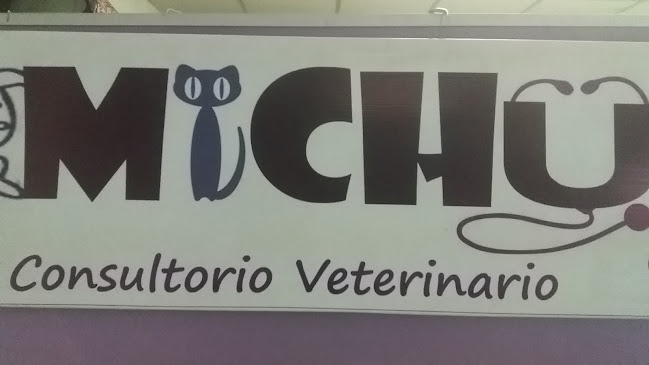 Michu Consultorio Veterinario - Veterinario