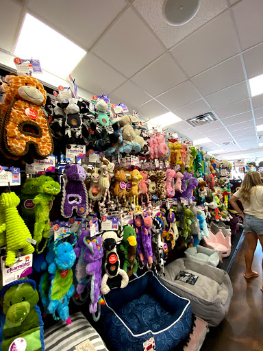 Pet Supply Store «Modern Pet», reviews and photos, 212-77 26th Ave, Bayside, NY 11360, USA