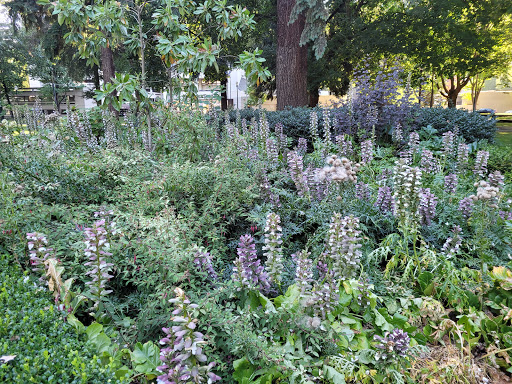 Park «Holladay Park», reviews and photos, NE Holladay St & NE 11th Ave, Portland, OR 97232, USA