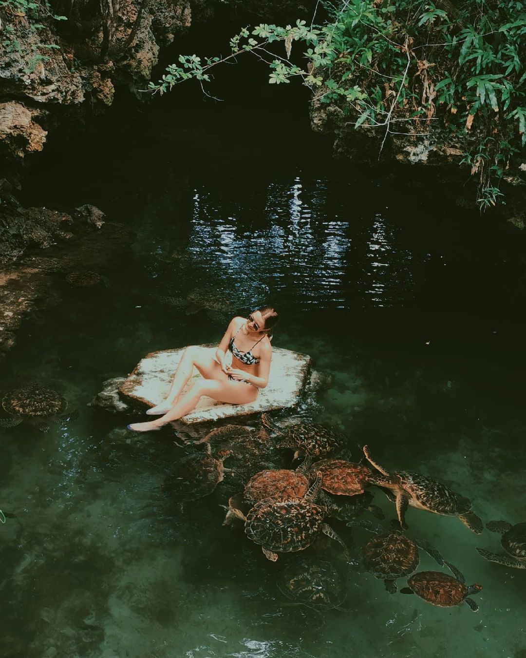 Swim with turtles sanctuary Zanzibar