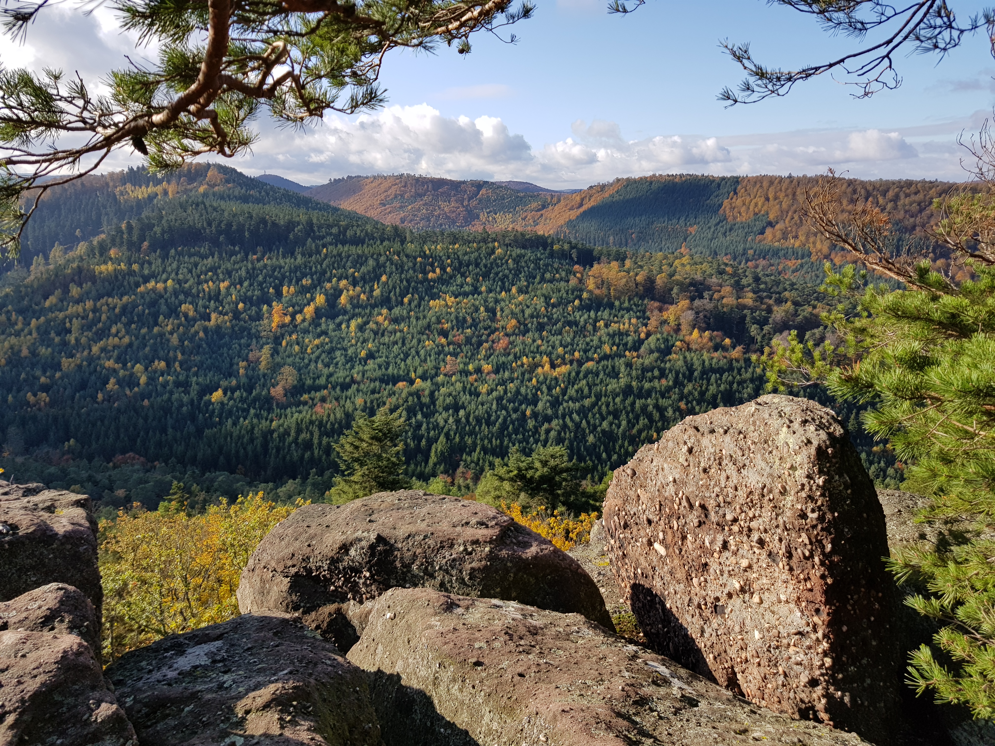 Photo n° 17 de l'avis de Roland.c fait le 09/11/2019 à 18:18