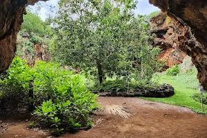 Makauwahi Cave Reserve image