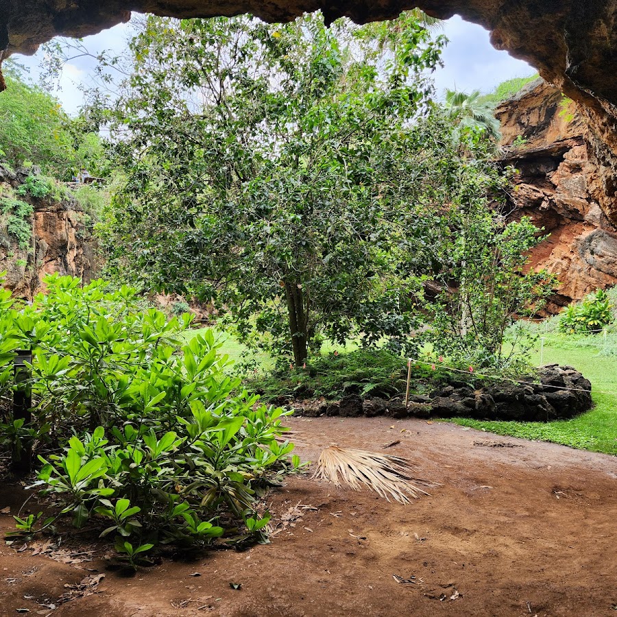 Makauwahi Cave Reserve