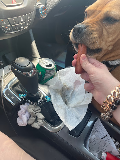 Pawn Shop «Quick Cash Pawn of Winston- Salem», reviews and photos, 700 Peters Creek Pkwy, Winston-Salem, NC 27103, USA