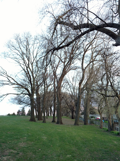 Public Golf Course «Elmwood 18 Hole Golf Course», reviews and photos, 6232 Pacific St, Omaha, NE 68106, USA