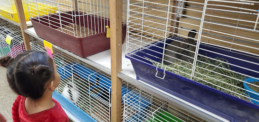 Pet Store «Everything Pets», reviews and photos, 1506 Altamont Ave, Schenectady, NY 12303, USA