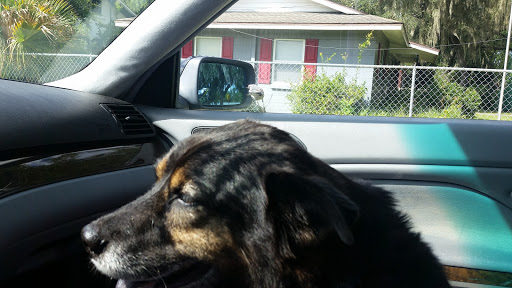 Park «Lincoln Avenue Community Park», reviews and photos, 1200 N Unser St, Mt Dora, FL 32757, USA