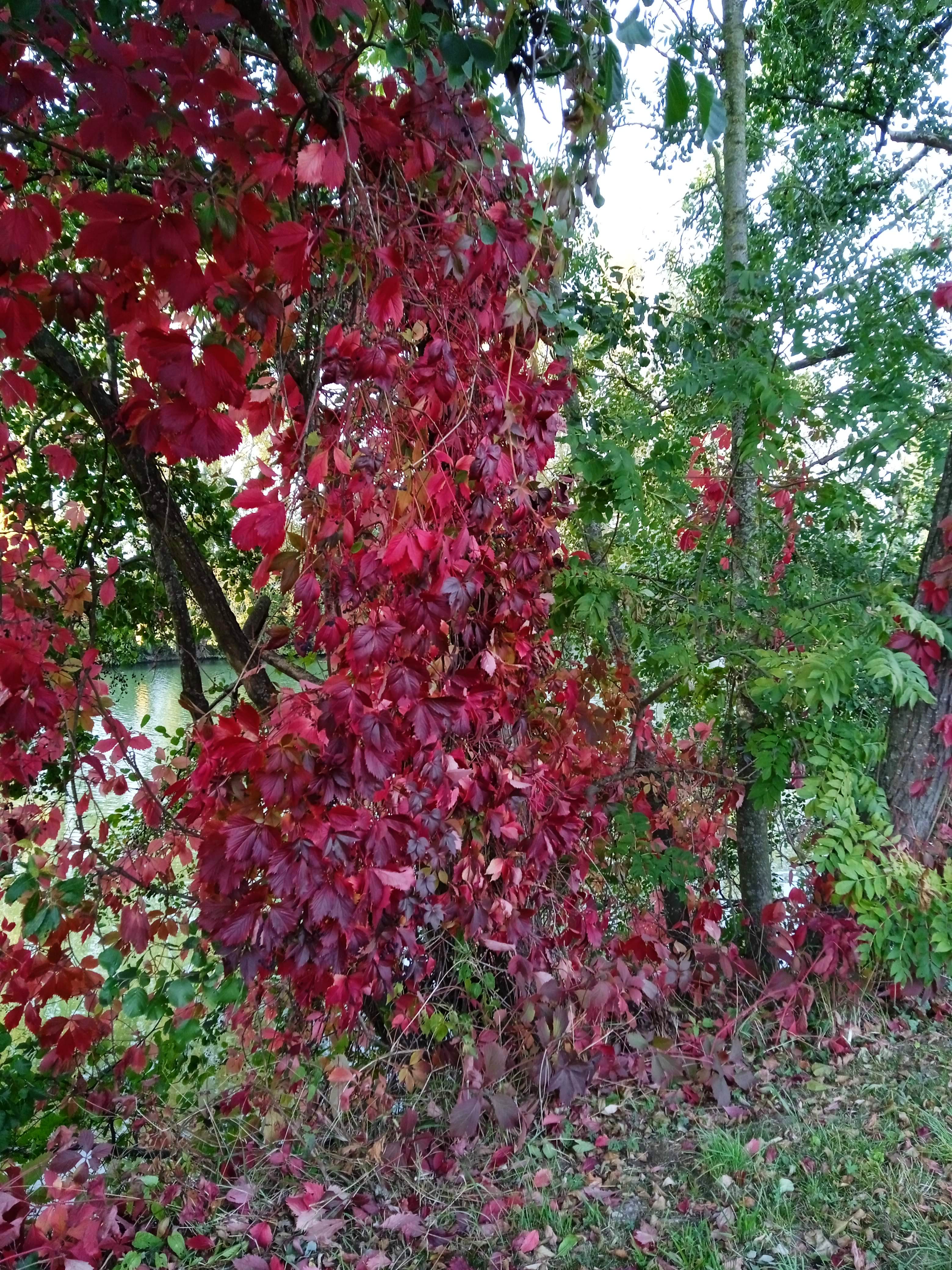 Photo n° 2 de l'avis de Nini.i fait le 18/10/2023 à 07:12