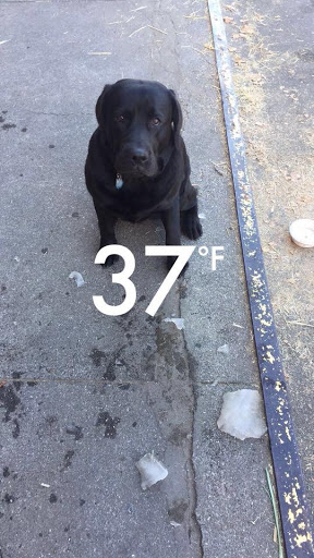 Pet Supply Store «Northern Star Mills», reviews and photos, 510 Esplanade, Chico, CA 95926, USA