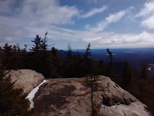 Clothing Store «Patagonia Boston», reviews and photos, 346 Newbury St, Boston, MA 02115, USA