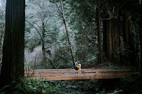 VenusGirl Photography - Photo 6 - Car repair in , Oakland