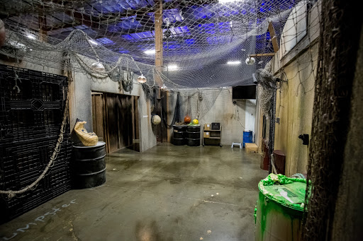 Recreation Center «Virtual Sports», reviews and photos, 17600 W Valley Hwy, Tukwila, WA 98188, USA