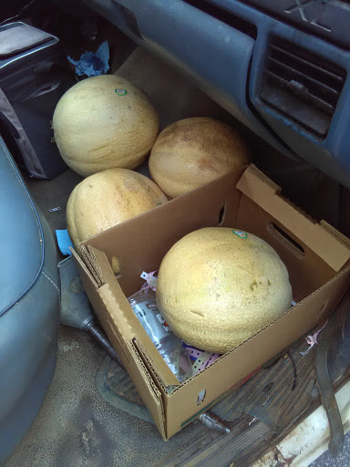 Grocery Store «Kroger», reviews and photos, 6335 Mechanicsville Turnpike, Mechanicsville, VA 23111, USA