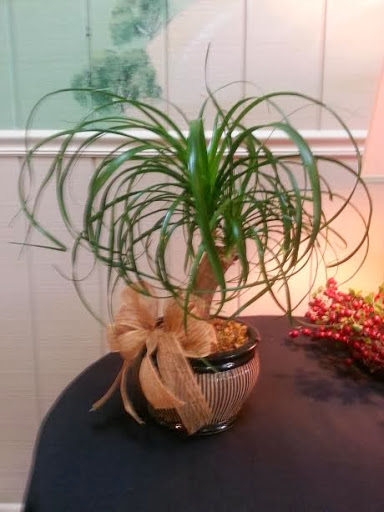 Lodge «The Farmhouse Inn», reviews and photos, 108 W Swan St, Centerville, TN 37033, USA