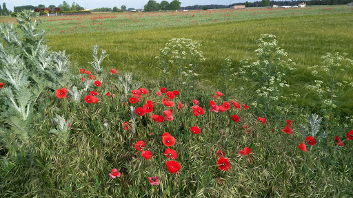 Funeraria Santo Cristo de la Peña, S.L. en Segovia