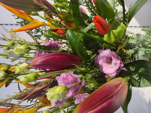 Florist «Mia fiori», reviews and photos, 5840 Legacy Cir D165, Plano, TX 75024, USA