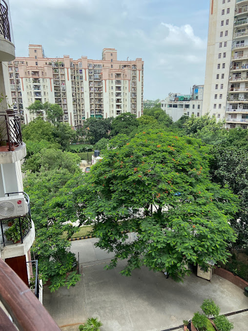 Google Maps image 16