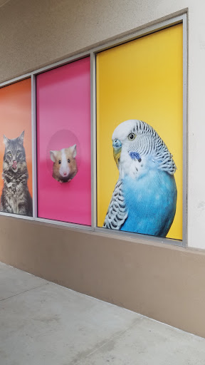 Pet Supply Store «PetSmart», reviews and photos, 5722 Fairmont Pkwy, Pasadena, TX 77505, USA